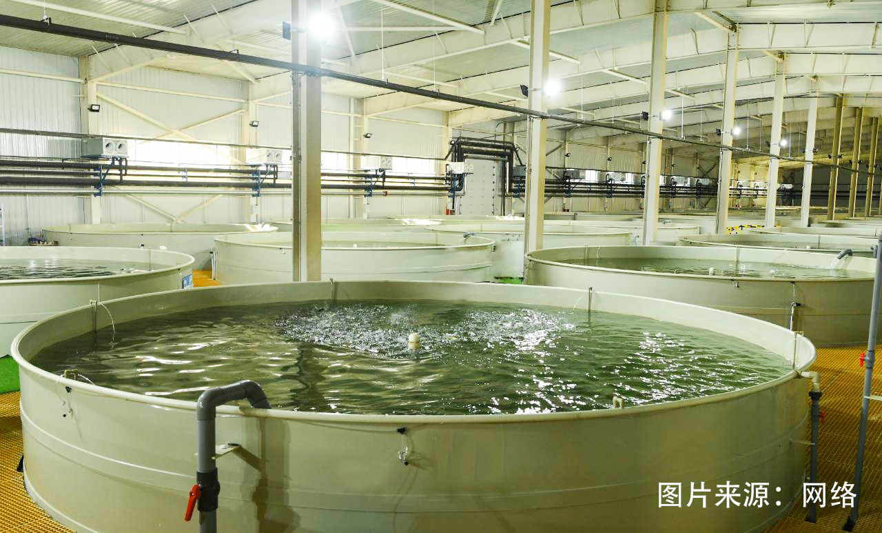 海水养殖试验基地图片.jpg 海水养殖试验基地图片.jpg